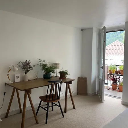 شقة Hypercentre Balcon Avec Vue Sur Les Aiguilles *
